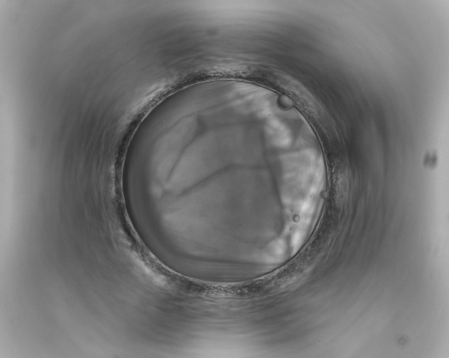 X0000093130729200710241322