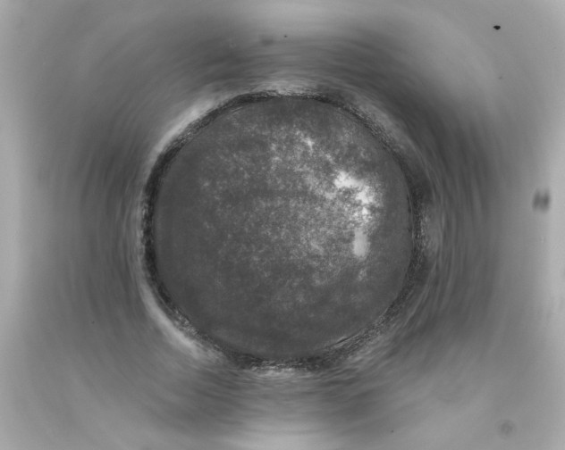 X0000093130730200710241322