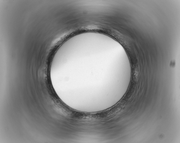 X0000093130732200710241322