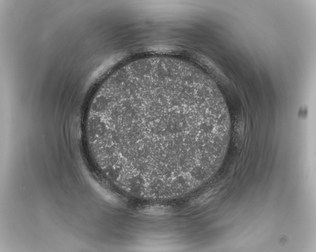 X0000093130734200710241322