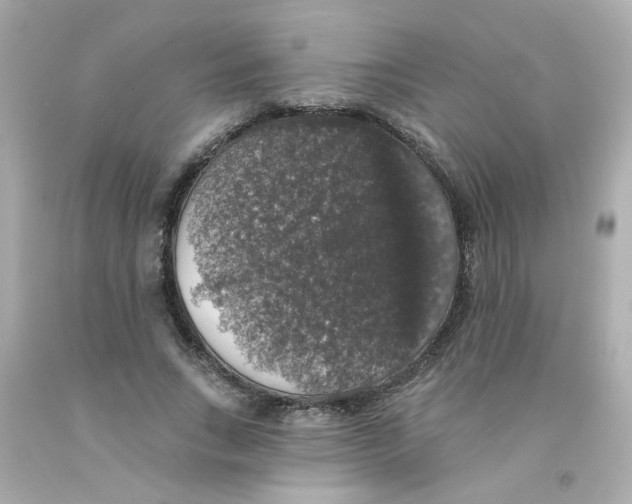 X0000093130735200710241322