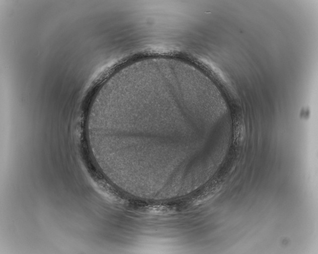 X0000093130736200710241322