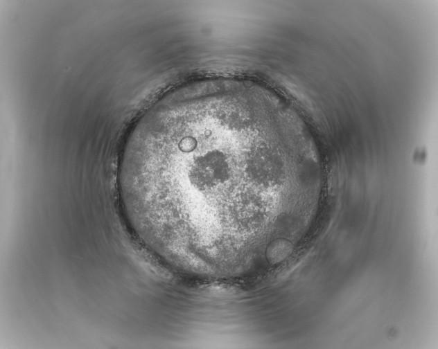 X0000093130737200710241322