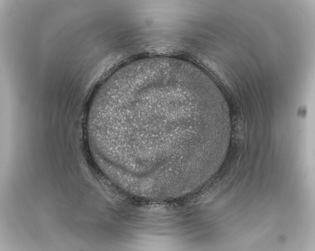 X0000093130738200710241322