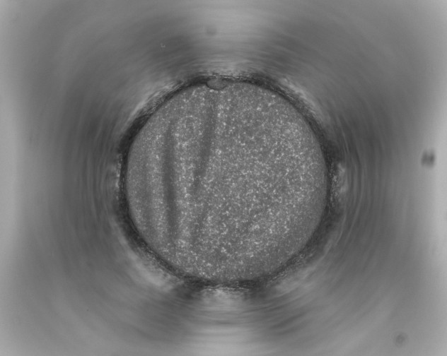 X0000093130739200710241322