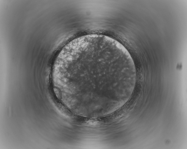 X0000093130742200710241322
