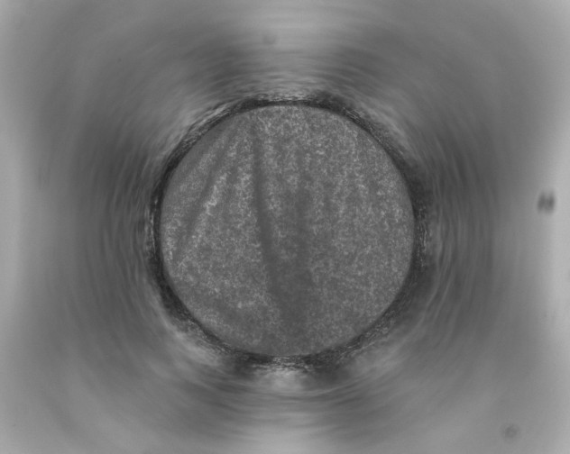 X0000093130743200710241322