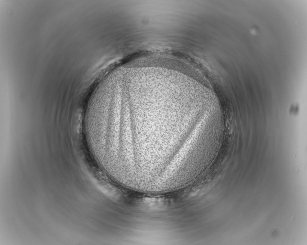 X0000093130744200710241322