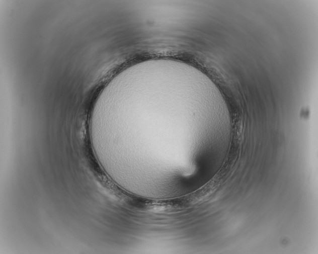 X0000093130746200710241322