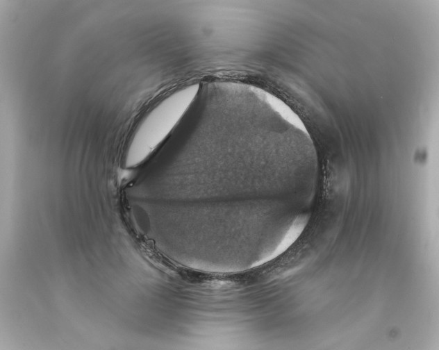 X0000093130748200710241322