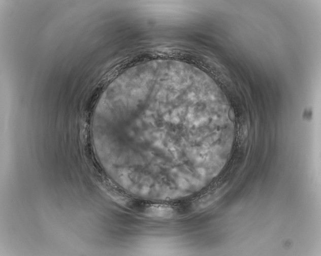 X0000093130749200710241322