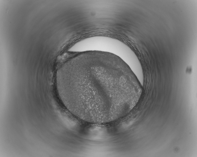 X0000093130750200710241322