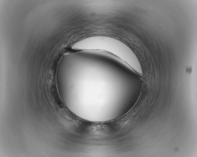 X0000093130752200710241322