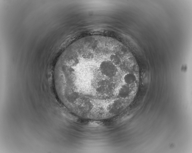 X0000093130753200710241322
