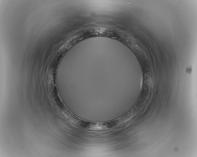 X0000093130754200710241322