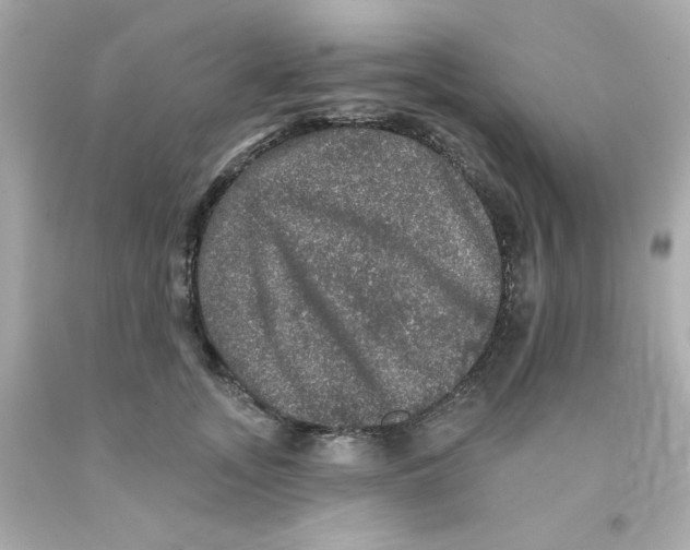 X0000093130755200710241322