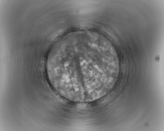 X0000093130757200710241322