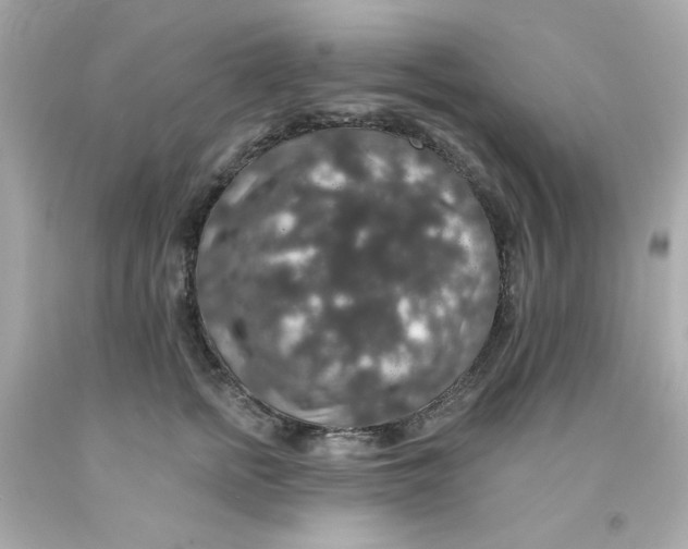 X0000093130758200710241322