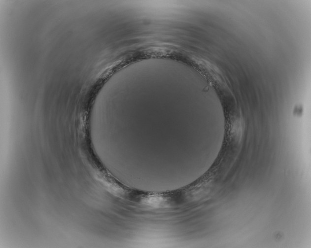 X0000093130759200710241322