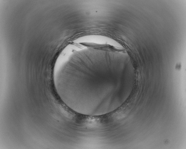 X0000093130760200710241322
