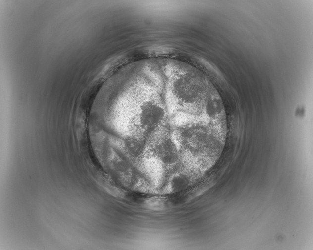 X0000093130761200710241322