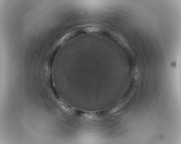 X0000093130763200710241322