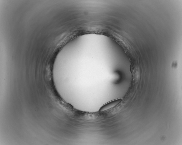 X0000093130764200710241322