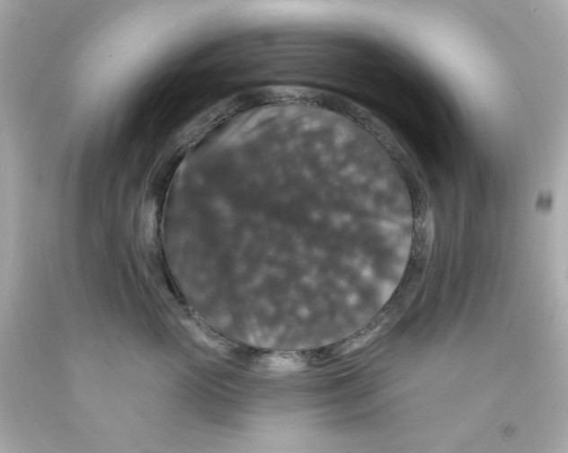 X0000093130765200710241322