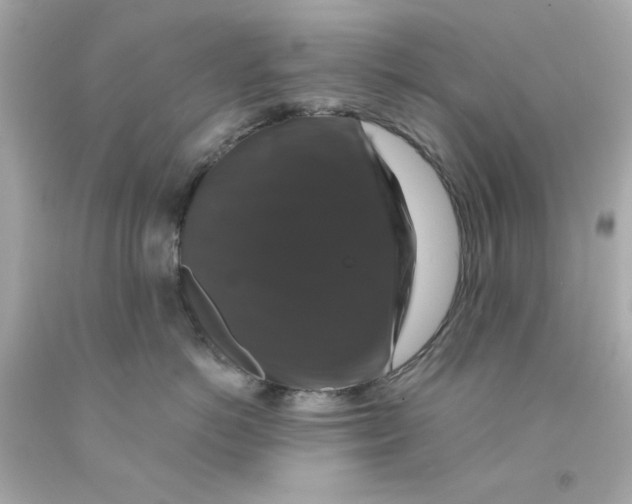 X0000093130766200710241322