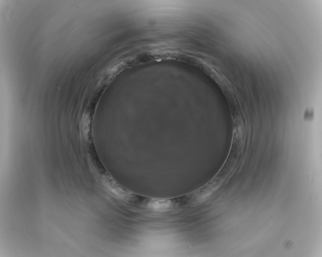 X0000093130767200710241322