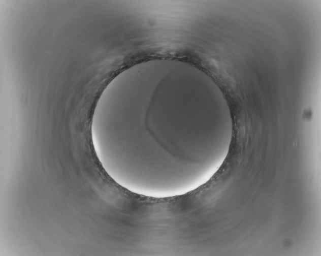 X0000093130769200710241322