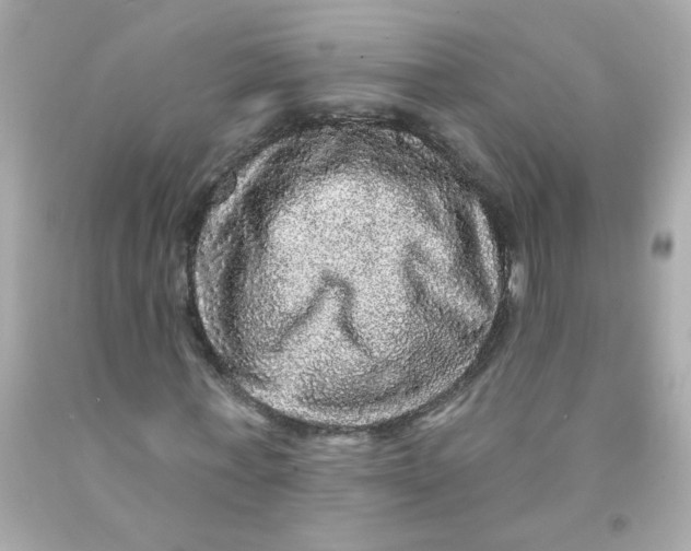 X0000093130771200710241322