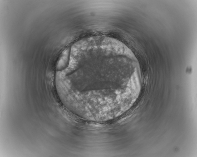 X0000093130772200710241322