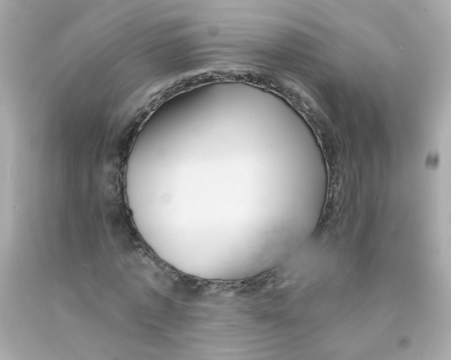 X0000093130773200710241322