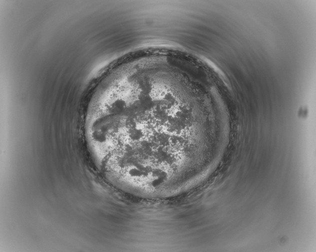 X0000093130775200710241322