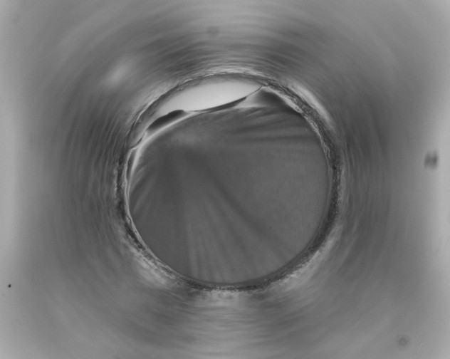 X0000093130777200710241322