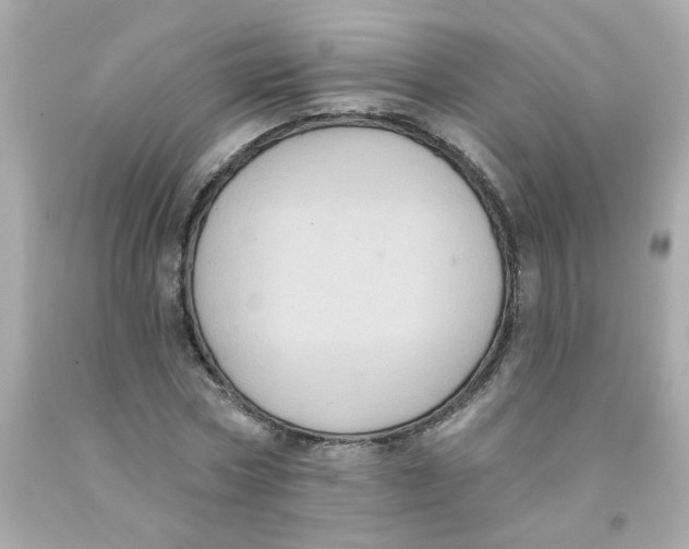 X0000093130778200710241322