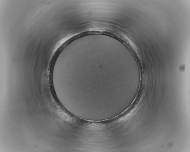 X0000093130779200710241322