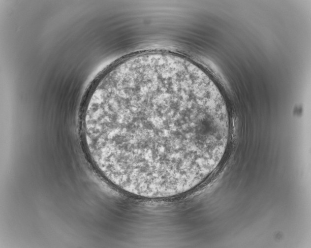X0000093130780200710241322