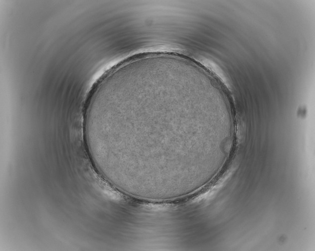 X0000093130781200710241322