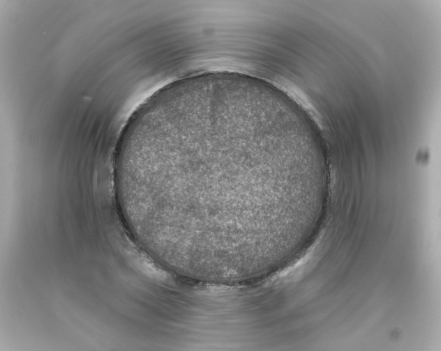 X0000093130782200710241322