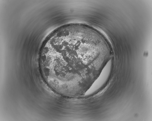 X0000093130783200710241322