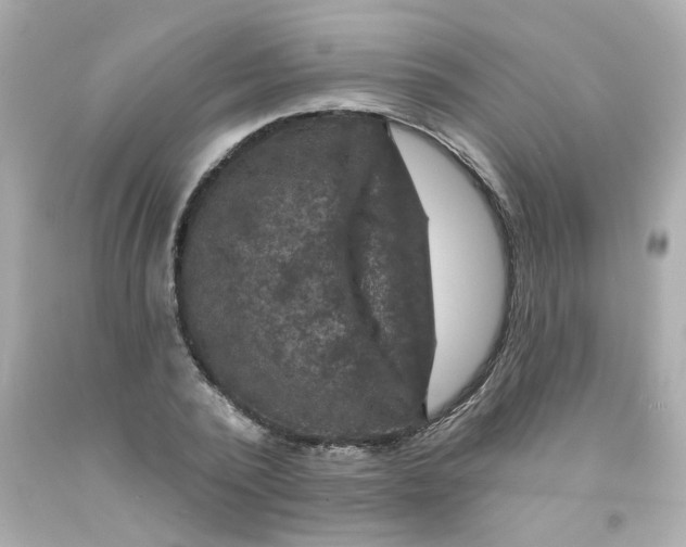 X0000093130784200710241322
