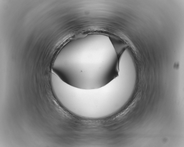 X0000093130785200710241322