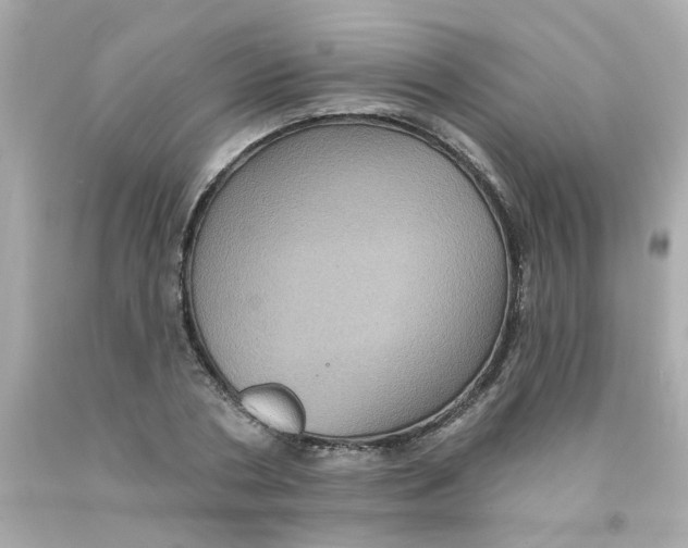 X0000093130786200710241322