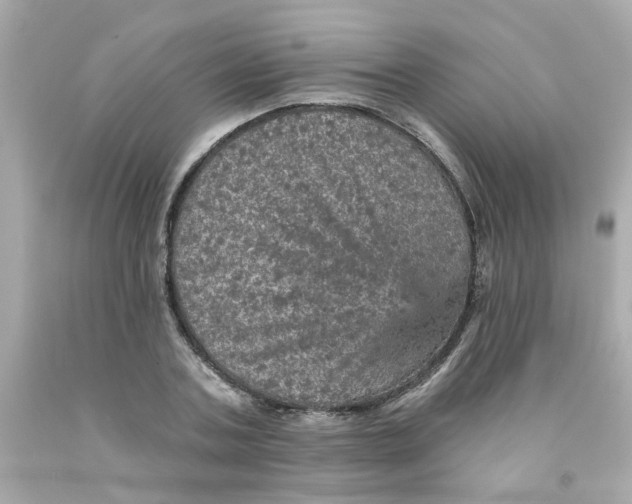 X0000093130787200710241322
