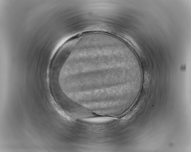 X0000093130788200710241322