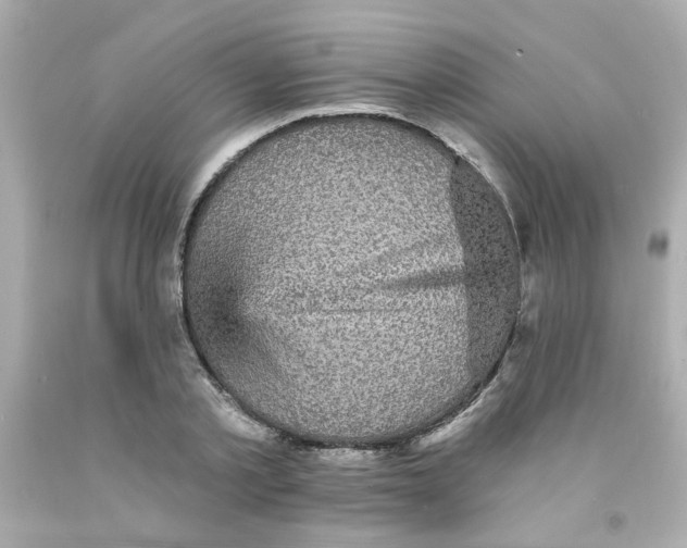 X0000093130789200710241322