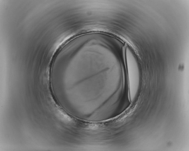 X0000093130790200710241321