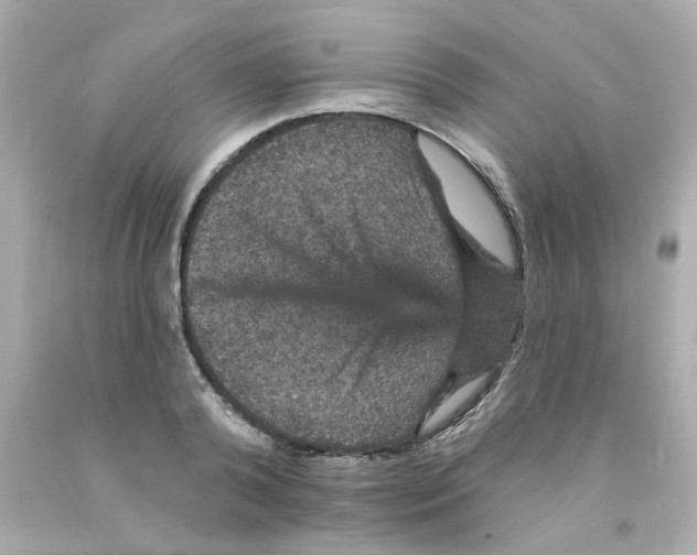 X0000093130792200710241321